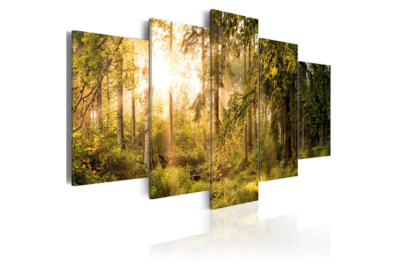 Bilde Magic Of Forest 200x100 - Artgeist sp. z o. o. - Lerretsbilder