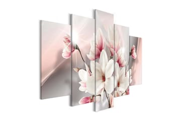 Bilde Magnolia i Bloom 5-Delt225x100