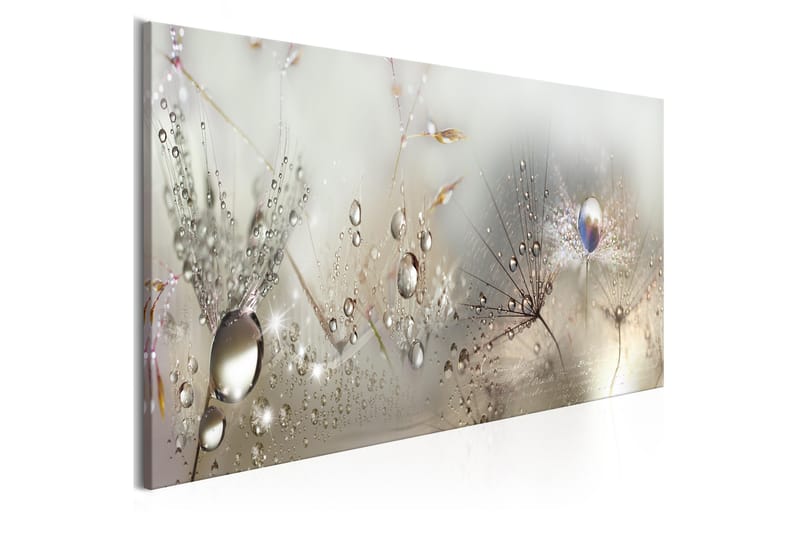 Bilde Morning Song 150x50 - Lerretsbilder