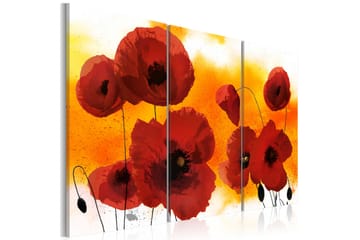 Bilde Sunny Afternoon And Poppies 120x80