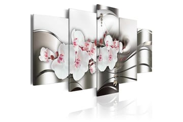 Bilde The Beauty Of Orchids 100x50
