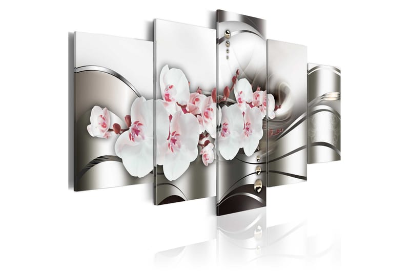 Bilde The Beauty Of Orchids 100x50 - Artgeist sp. z o. o. - Lerretsbilder