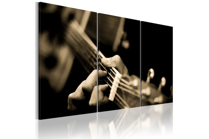 Bilde The magic sound of a guitar 90x60 - Artgeist sp. z o. o. - Lerretsbilder