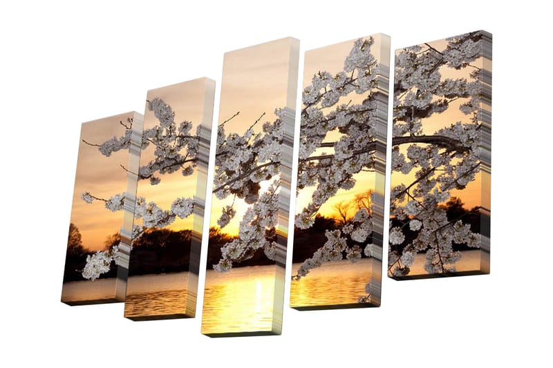 Canvasbilde Dekorativ 5 Deler - Flerfarget - Lerretsbilder