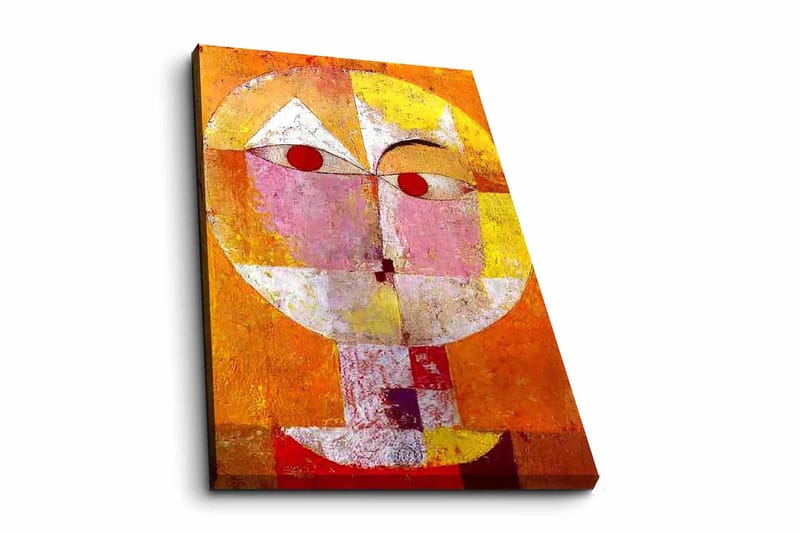 Decorative Canvas Painting 45x70