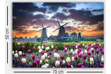 Decorative Canvas Painting 50x70 - Interiør - Maleri & posters - Lerretsbilder