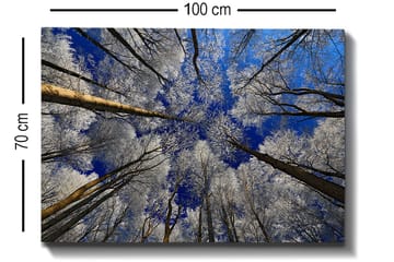 Decorative Canvas Painting 70x100 - Interiør - Maleri & posters - Lerretsbilder