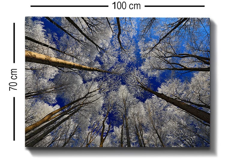 Decorative Canvas Painting 70x100 - Interiør - Maleri & posters - Lerretsbilder