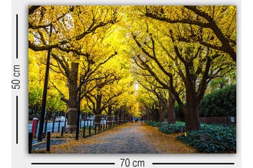 Decorative Canvas Painting 50x70 - Interiør - Maleri & posters - Lerretsbilder