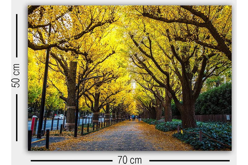 Decorative Canvas Painting 50x70 - Interiør - Maleri & posters - Lerretsbilder