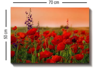Decorative Canvas Painting 50x70 - Interiør - Maleri & posters - Lerretsbilder