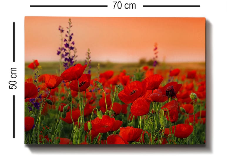 Decorative Canvas Painting 50x70 - Interiør - Maleri & posters - Lerretsbilder