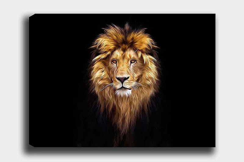 Decorative Canvas Painting 50x70