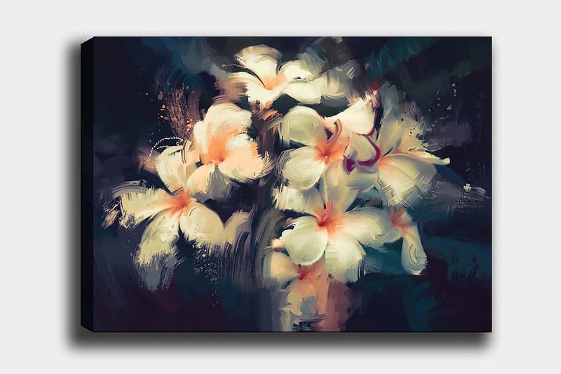 Decorative Canvas Painting 70x100