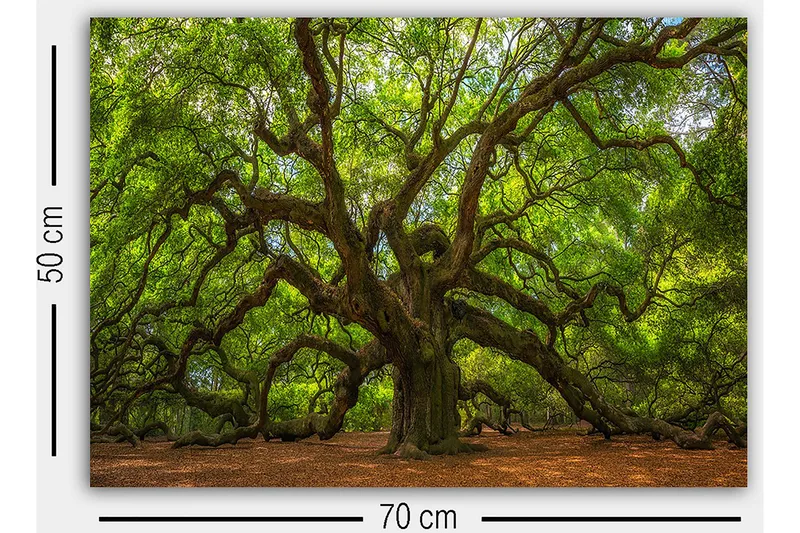 Decorative Canvas Painting 50x70 - Interiør - Maleri & posters - Lerretsbilder