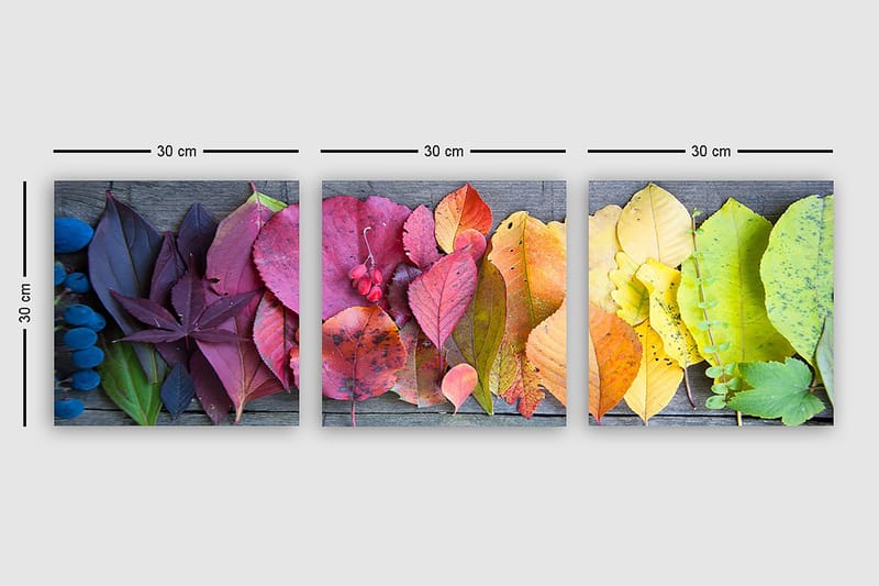 Decorative Canvas Painting (3 Pieces) 30x30 - Interiør - Maleri & posters - Lerretsbilder