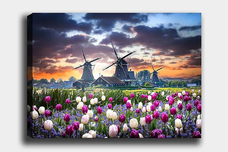 Decorative Canvas Painting 50x70