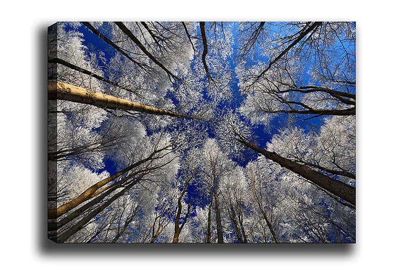 Decorative Canvas Painting 70x100