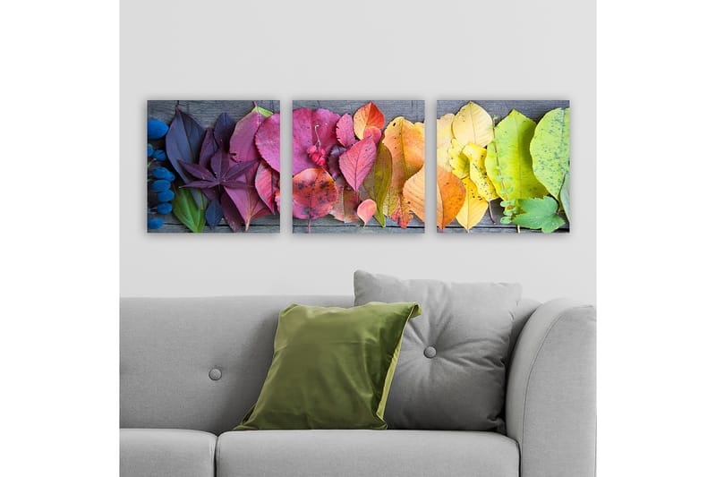 Decorative Canvas Painting (3 Pieces) 30x30