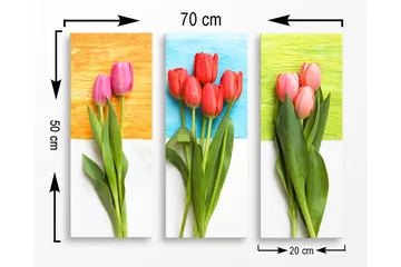 Decorative MDF Painting (3 Pieces) 20x50 - Interiør - Maleri & posters - Lerretsbilder