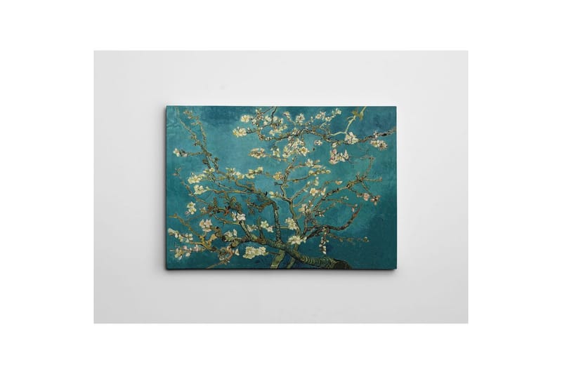 Dekorativt lerretsmaleri Marro Flerfarget - 70 x 100 cm - Interiør - Maleri & posters - Lerretsbilder