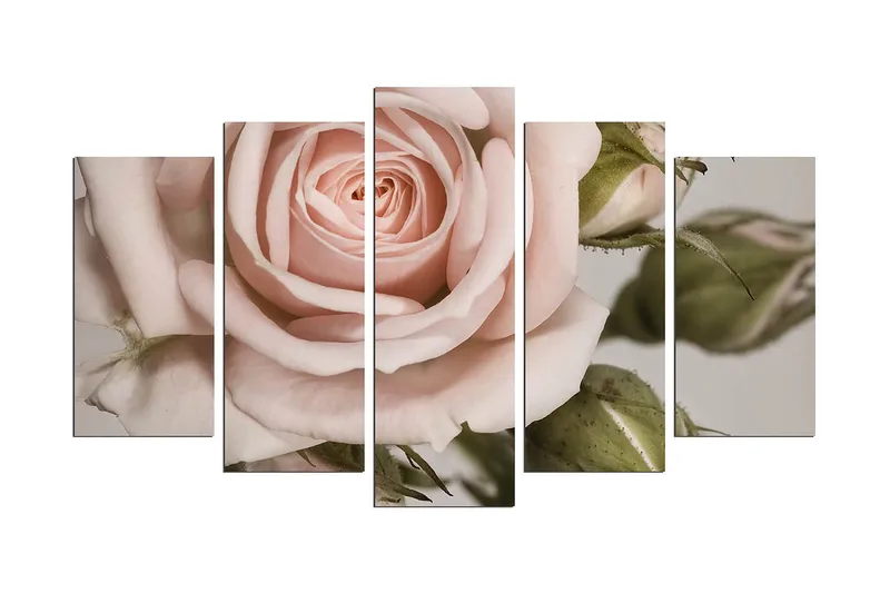 Dekorativt MDF-maleri (5 stk) 20x60