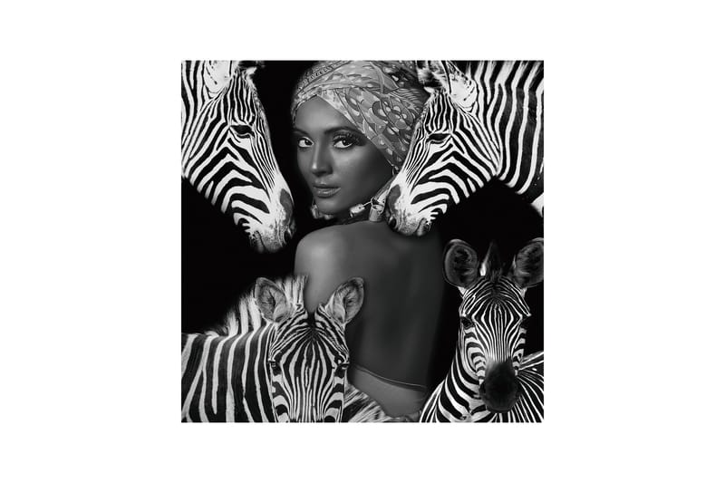 Akrylmaleri Zebra Queen 120x120 cm - Flerfarget - Interiør - Maleri & posters - Lerretsbilder