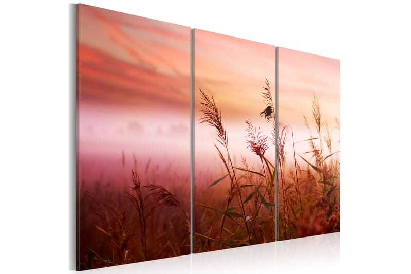 Bilde A silent meadow 90x60 - Artgeist sp. z o. o. - Lerretsbilder