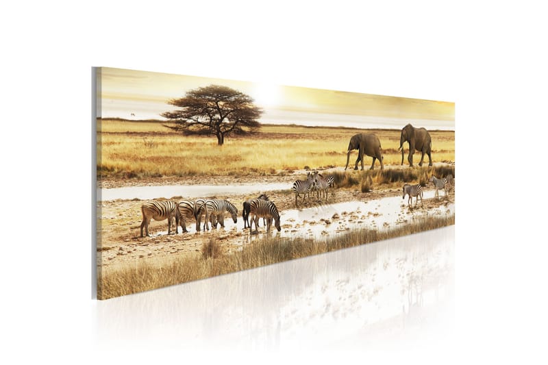 Bilde Africa At The Waterhole 120x40 - Artgeist sp. z o. o. - Lerretsbilder