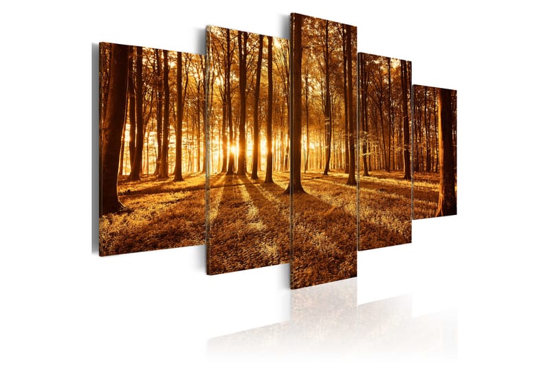 Bilde Amber Forest 100x50 - Artgeist sp. z o. o. - Lerretsbilder