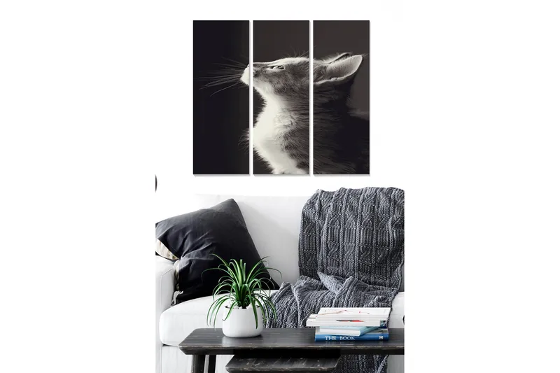 Bilde Animal 3-pk Flerfarget, 22x05 cm