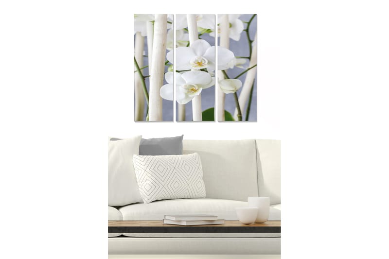 Bilde Animal 3-pk Flerfarget - 22x05 cm - Interiør - Maleri & posters - Lerretsbilder