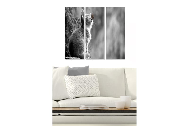 Bilde Animal 3-pk Flerfarget - 22x05 cm - Interiør - Maleri & posters - Lerretsbilder