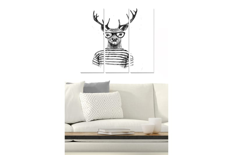 Bilde Animal 3-pk Flerfarget - 22x05 cm - Interiør - Maleri & posters - Lerretsbilder