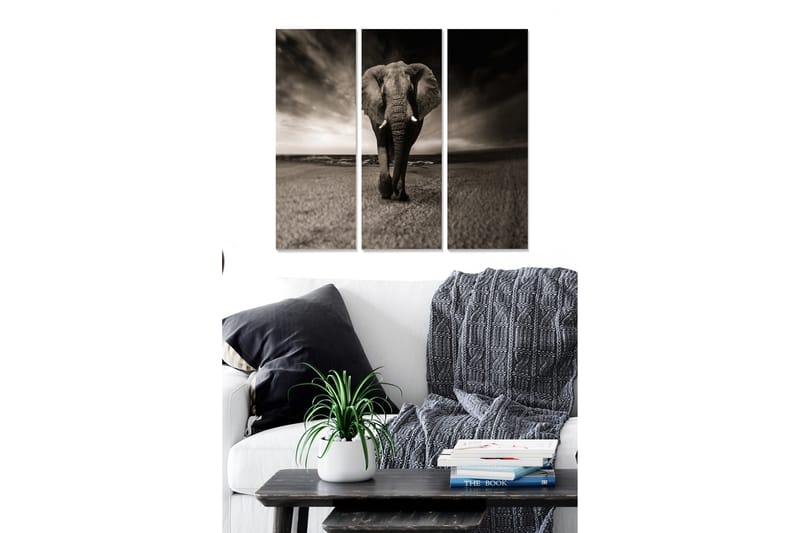 Bilde Animal 3-pk Flerfarget - 22x05 cm - Interiør - Maleri & posters - Lerretsbilder