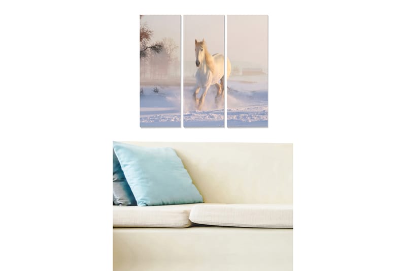 Bilde Animal 3-pk Flerfarget - 22x05 cm - Interiør - Maleri & posters - Lerretsbilder