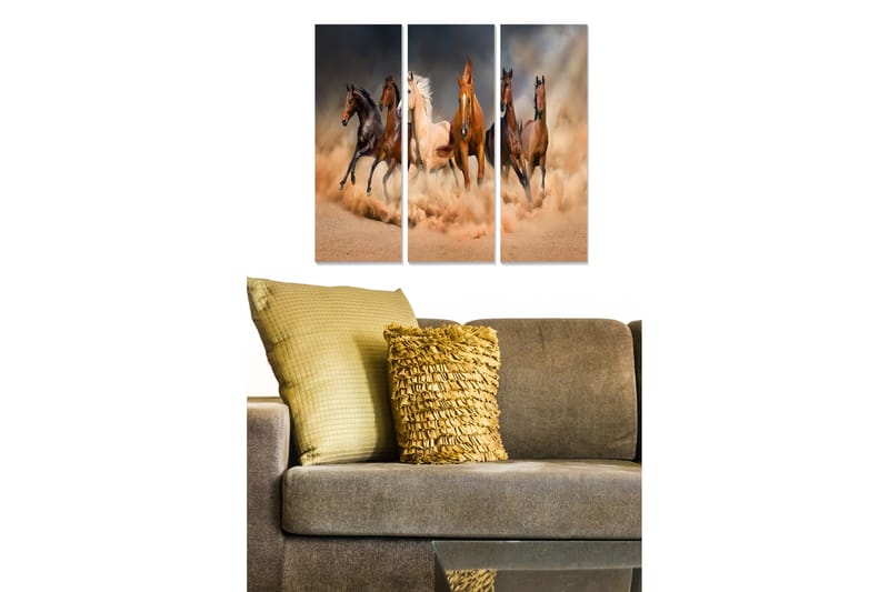 Bilde Animal 3-pk Flerfarget - 22x05 cm - Interiør - Maleri & posters - Lerretsbilder