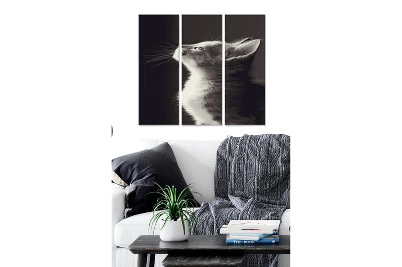Bilde Animal 3-pk Flerfarget - 22x05 cm - Interiør - Maleri & posters - Lerretsbilder