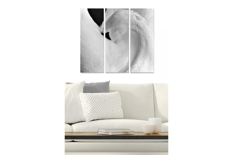 Bilde Animal 3-pk Flerfarget - 22x05 cm - Interiør - Maleri & posters - Lerretsbilder