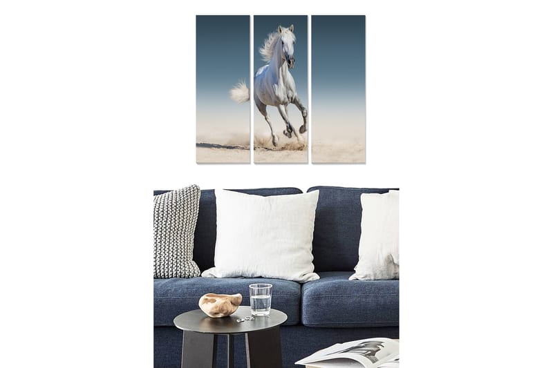 Bilde Animal 3-pk Flerfarget - 22x05 cm - Interiør - Maleri & posters - Lerretsbilder