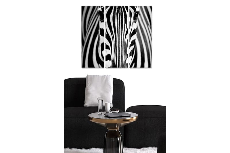 Bilde Animal 3-pk Flerfarget - 22x05 cm - Interiør - Maleri & posters - Lerretsbilder