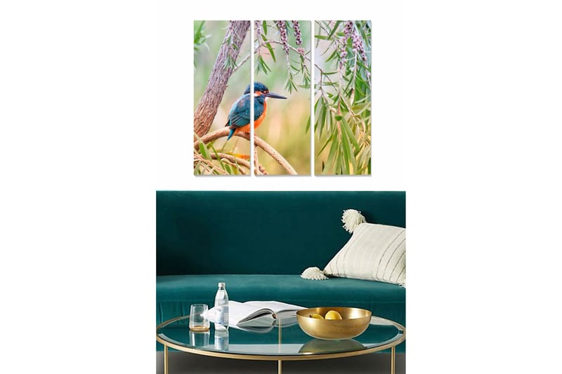 Bilde Animal 3-pk Flerfarget, 22x05 cm