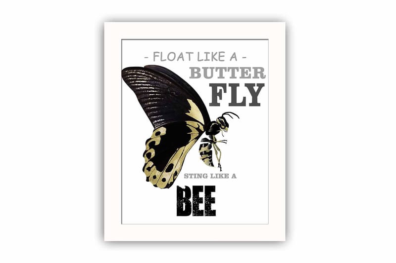 Bilde Animal med Ramme Flerfarget - 22,3x52,8 cm - Interiør - Maleri & posters - Lerretsbilder