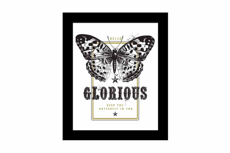 Bilde Animal med Ramme Flerfarget - 22,3x52,8 cm - Interiør - Maleri & posters - Lerretsbilder