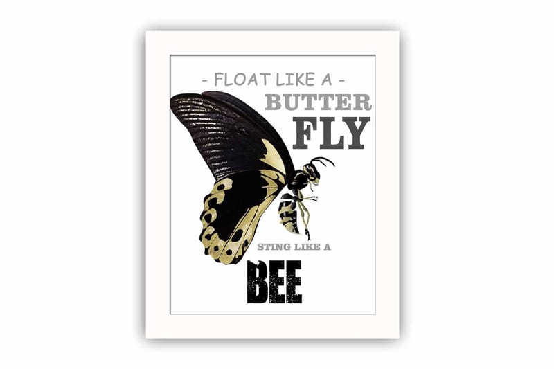 Bilde Animal med Ramme Flerfarget, 22,3x52,8 cm