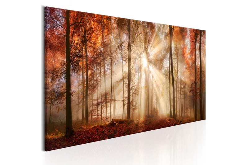 Bilde Autumnal Dawn 150x50 - Artgeist sp. z o. o. - Lerretsbilder
