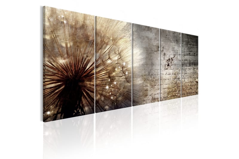 Bilde Beige Dandelion 225x90 - Lerretsbilder