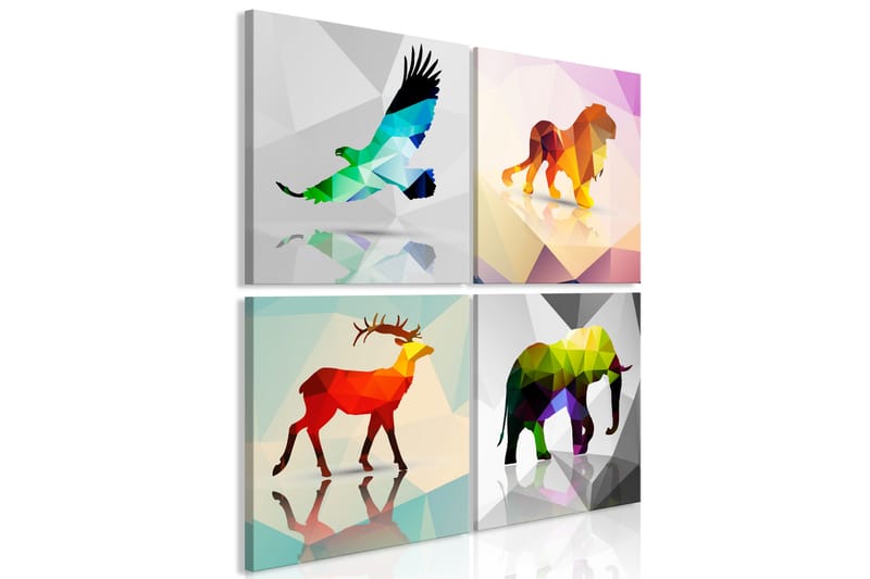 Bilde Colourful Animals 4 Parts 40x40 - Artgeist sp. z o. o. - Lerretsbilder