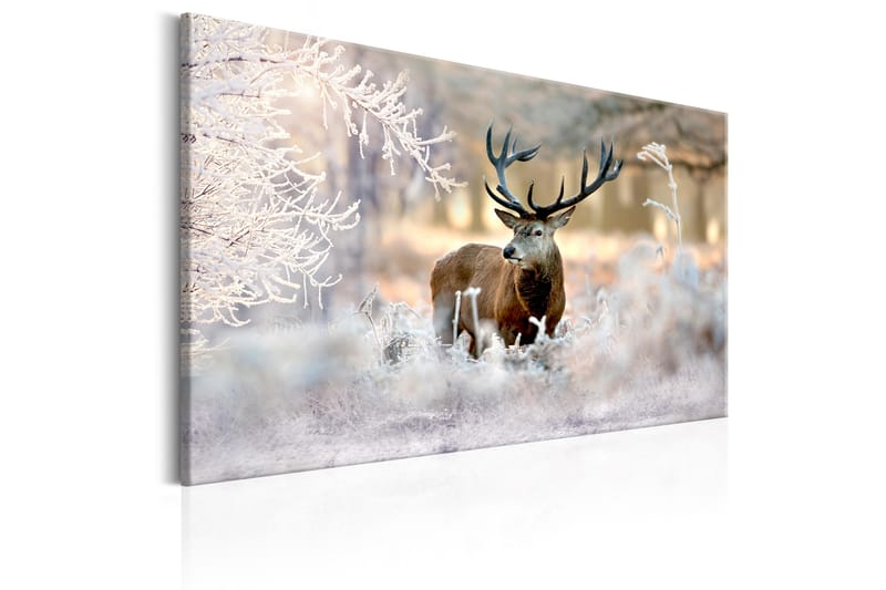 Bilde Deer In The Cold 120x80 - Artgeist sp. z o. o. - Lerretsbilder