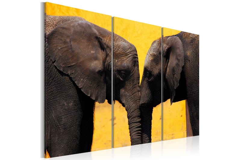 Bilde Elephant Kiss 120x80 - Artgeist sp. z o. o. - Lerretsbilder